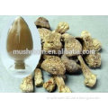 Agaricus blazei extract (ABM mushroom)